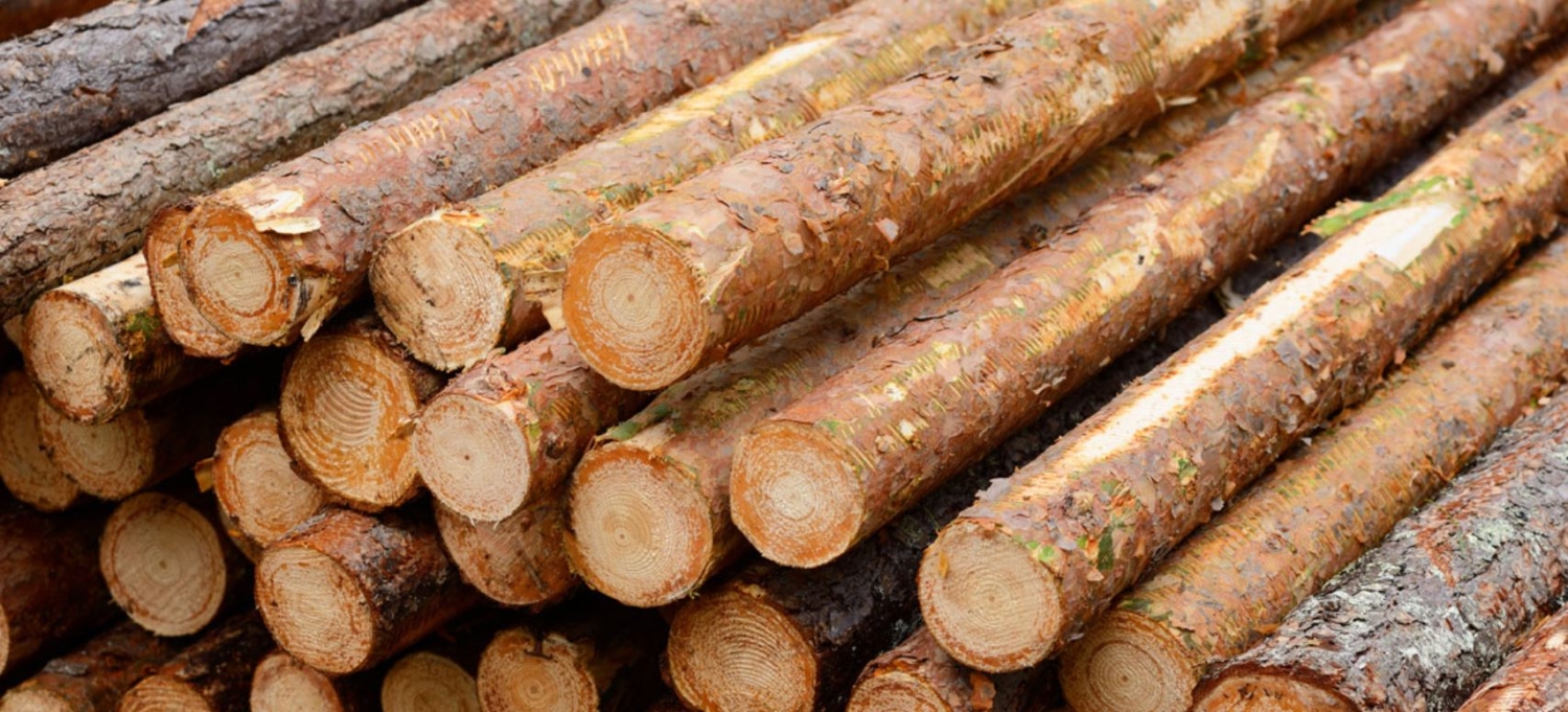 timber-vs-lumber-vs-log-differences-uses-pros-and-cons-the