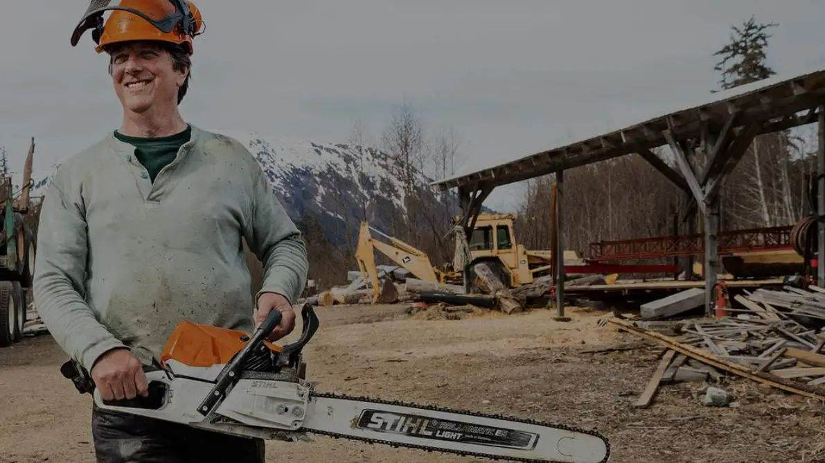 Stihl 461 Vs Stihl 462 Chainsaw Whats The Better Option The