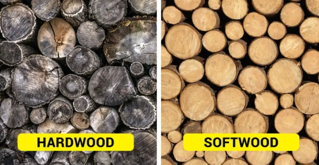 hardwood-vs-softwood-differences-uses-pros-and-cons-the-ultimate