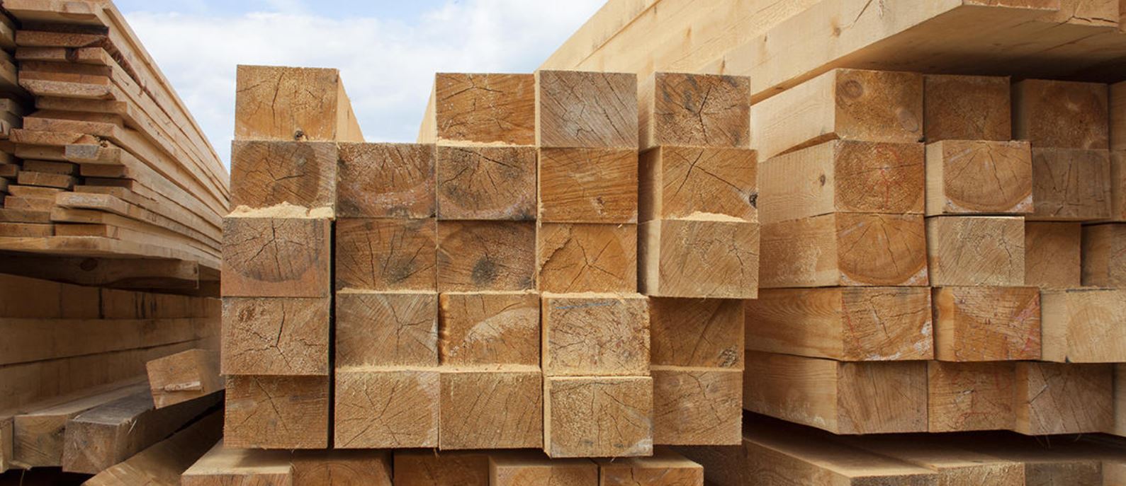 Timber Vs Lumber Vs Log – Differences, Uses, Pros And Cons - The ...