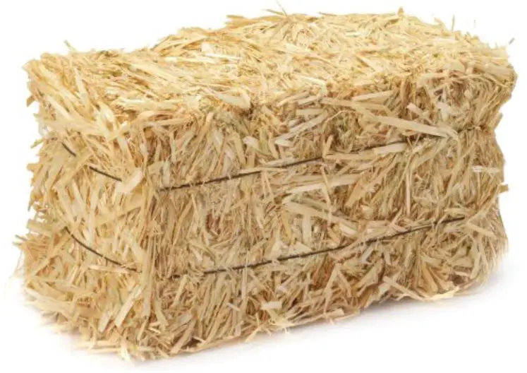 Straw Vs Hay – What’s The Difference and Different Uses - The Ultimate ...