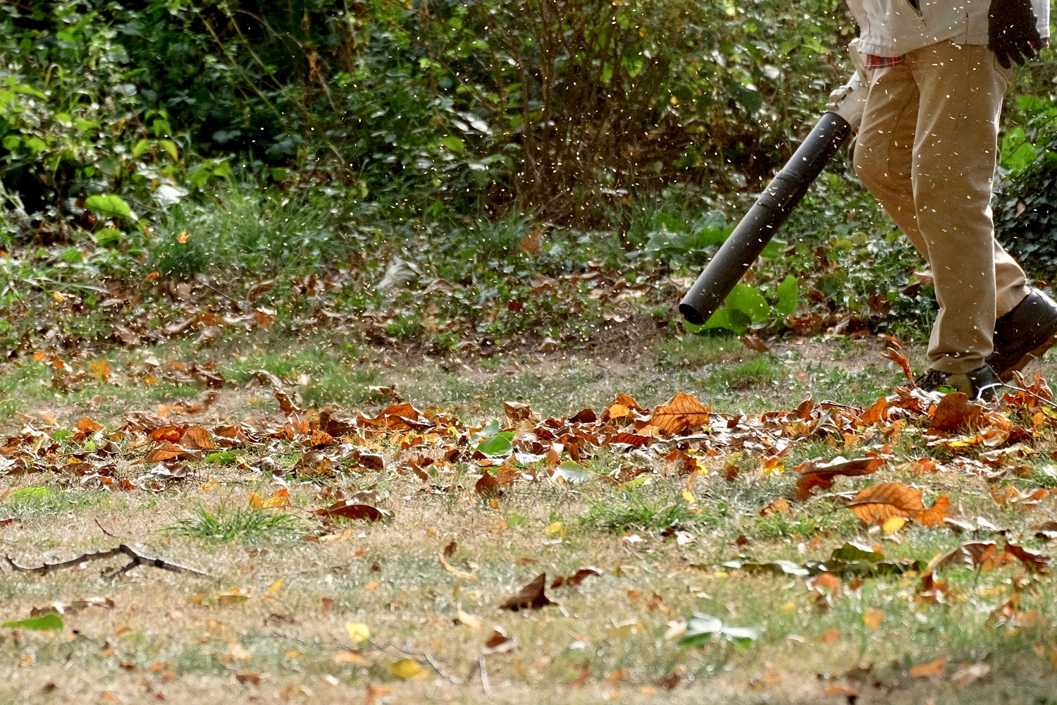 Leaf Blower Buying Guide – How To Choose The Best Option For Your Home ...