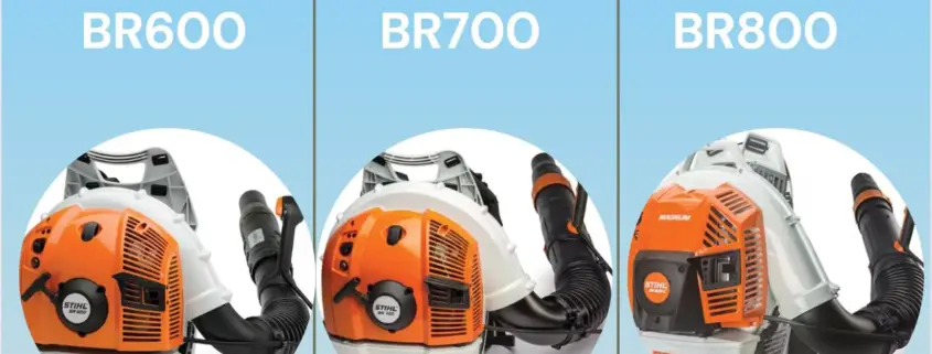 Stihl BR600 vs BR700 vs BR800