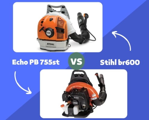 Echo PB 755st vs Stihl br600