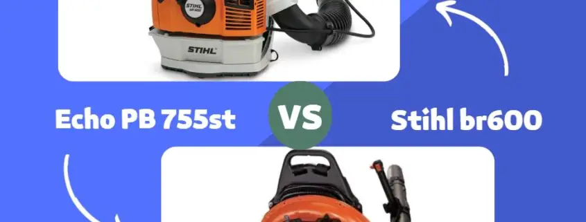 Echo PB 755st vs Stihl br600