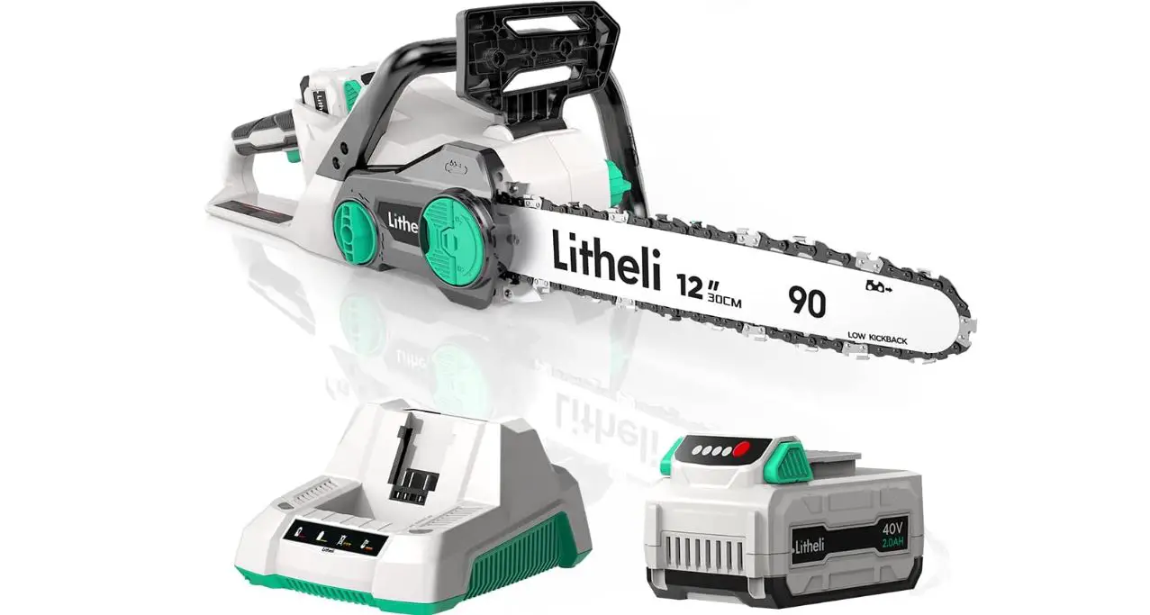 Lithelli Battery Chainsaw