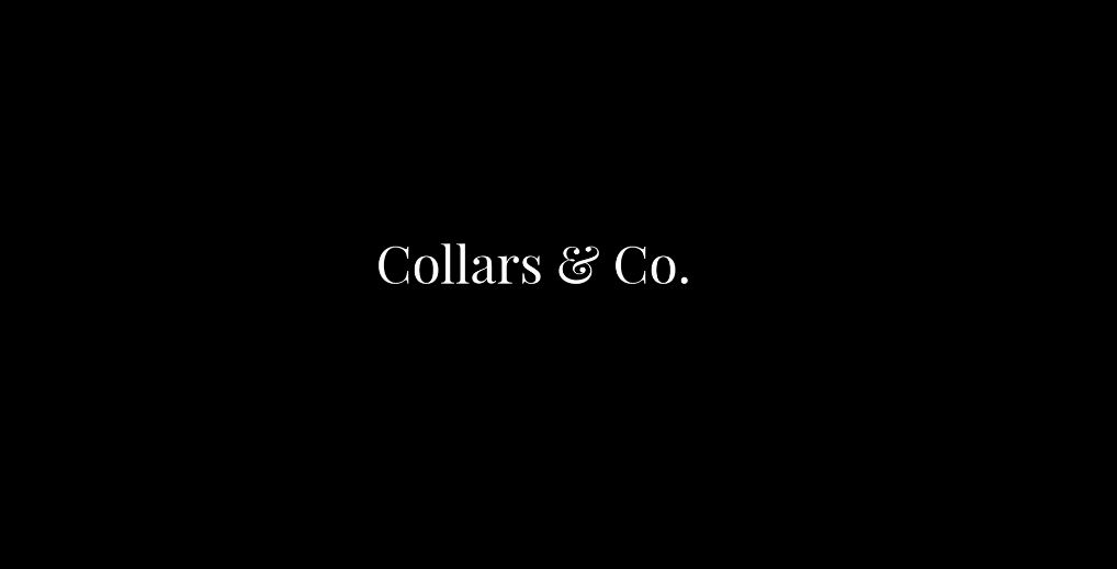 Collars And Co Shark Tank Net Worth 2022 What Happened After Shark